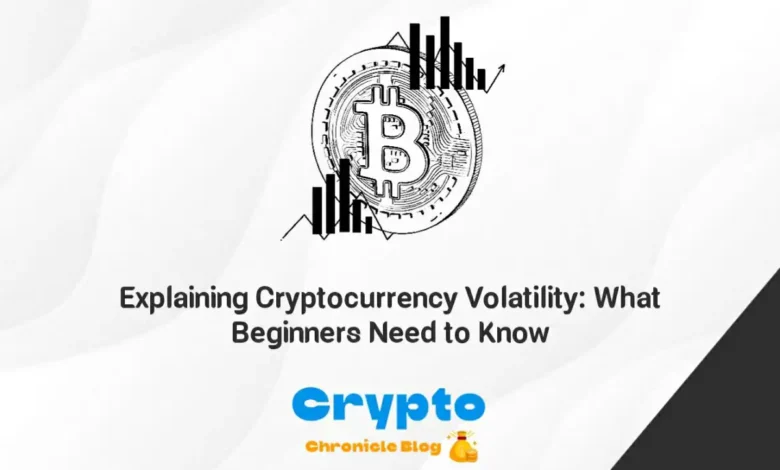 Explaining Cryptocurrency Volatility What Beginners Need to Know
